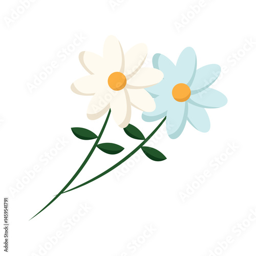Two daisy flowers. Vector