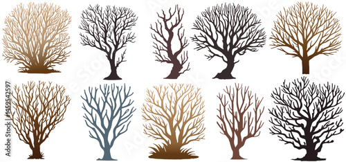 silhouette dead leafless trees on white. spooky tree , scary tree, horror tree, bare tree vector
