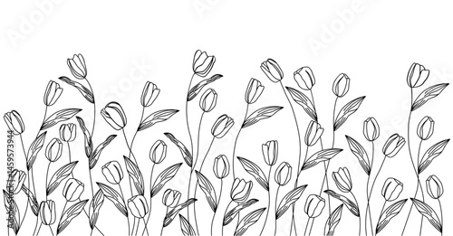 Hand Drawn Vintage Tulips meadow Decorative Frames, Elegant Line Art Borders for Invitations, Labels, Logos, and Retro Design Projects