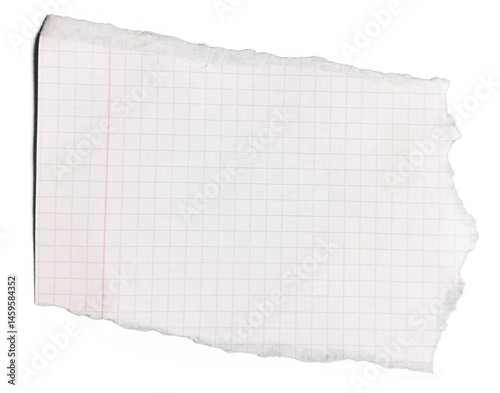 Torn Grid Paper: A partially torn piece of grid paper, exhibiting texture and lines	
