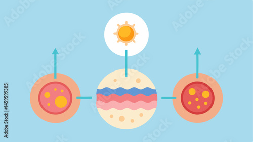 Healthy Skin Barrier A depiction of exosomes reinforcing the skin barrier with a visual of intact skin compared to damaged skin emphasizing enhanced protection.