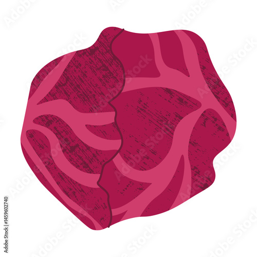 Red cabbage icon. Cartoon purple cabbage vegetable, organic farm product, healthy vegan food, red cabbage cooking ingredient. Vector flat isolated illustration
