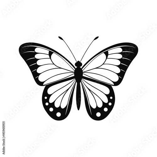 Black Silhouette Butterfly Vector Art & Icons on White Background. Vector Illustration