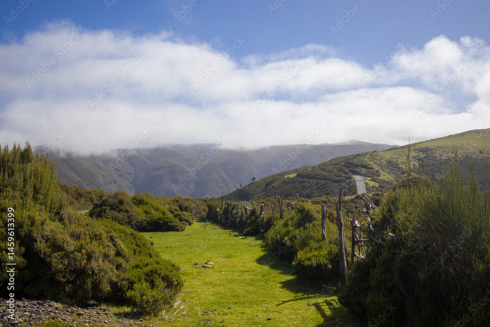 Naklejka premium Scenic landscape in Madeira with lush greenery and misty mountain backdrop on a sunny day