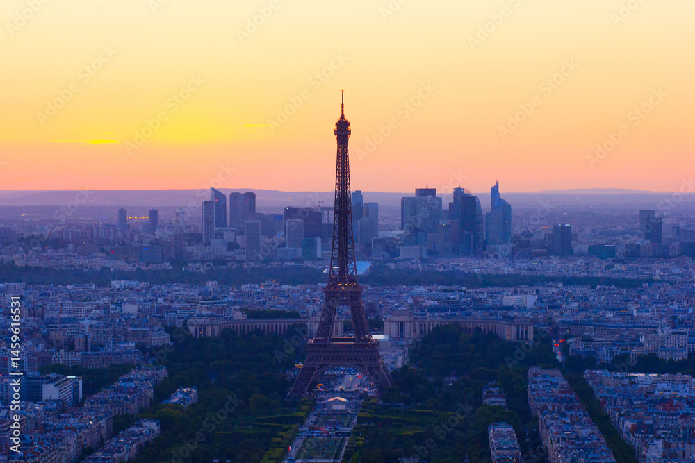 Fototapeta premium Eiffel Tower and Paris cityscape