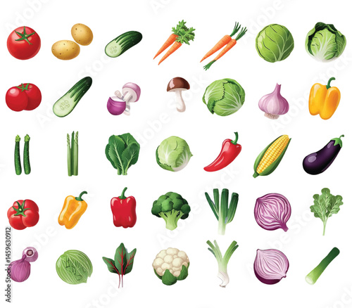 Set of Fresh Colorful Vegetables – Vector Illustration Collection on White Background