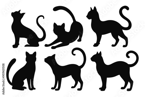 Elegant Cat Silhouette Poses – Feline Vector Icons and Shapes