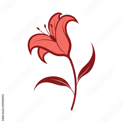 Lily Flower Vector Art Illustration