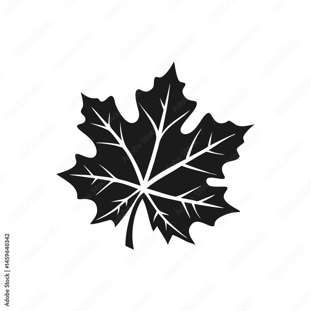 Fototapeta premium Maple Leave Silhouette maple leaf icon illustration vector Maple leaf outline vector illustration