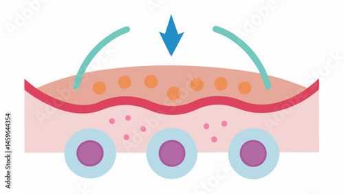 Healing Skin Diagram Create a diagram showing skin cells absorbing exosomes with arrows indicating regeneration and smoothening of stretch marks.