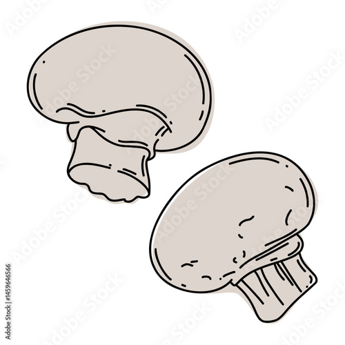 Mushrooms colorful line art illustration.