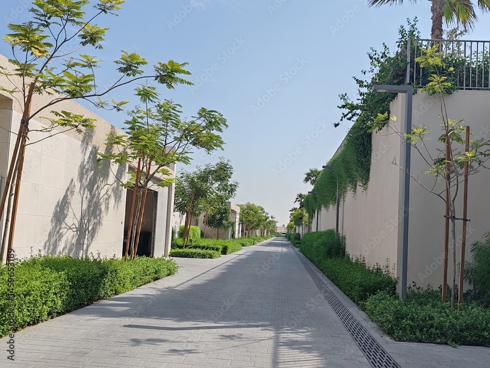 Fototapeta premium Villa's Or Houses With Their Cream Color Design And Front Side Outdoor View. Green Landscaping With Washingtonia Trees At Front Side Of Villa's. Interlock Road Passing At Front Of The Villa's