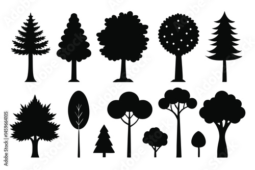 Evergreen Trees Silhouette Set – Fir, Spruce, and Pine Vector Illustration
