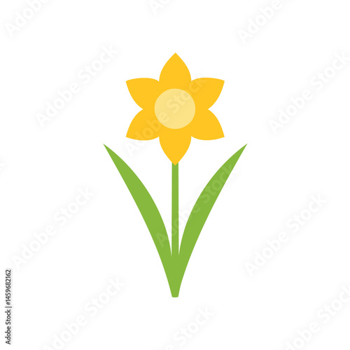 daffodil flower isolated on white