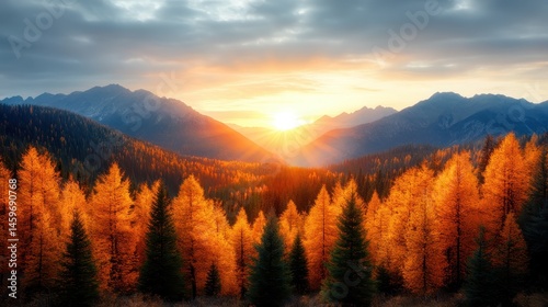 A breathtaking sunrise over an autumn valley, showcasing vibrant larch trees and gray mountain peaks, evoking feelings of warmth and inspiration in a serene natural setting.
