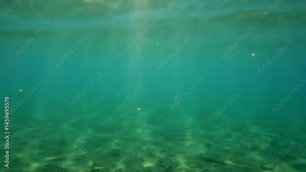 Mesmerizing Underwater Views: Capturing Glimpses of Sunlight Through the Sea Surface Mesmerizing Underwater Views: Capturing Glimpses of Sunlight Through the Sea Surface