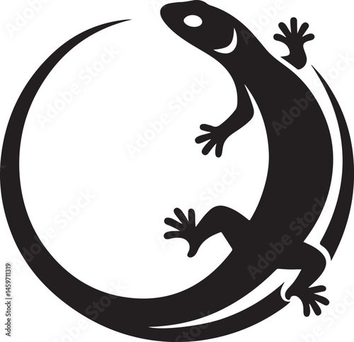 lizard on white background