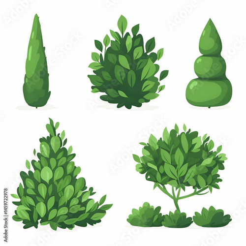 Collection of Green Bushes and Shrubs. Garden Plants Vector Illustration