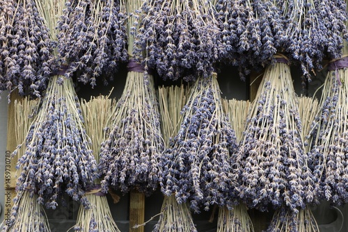 Bouquets de lavande séchée