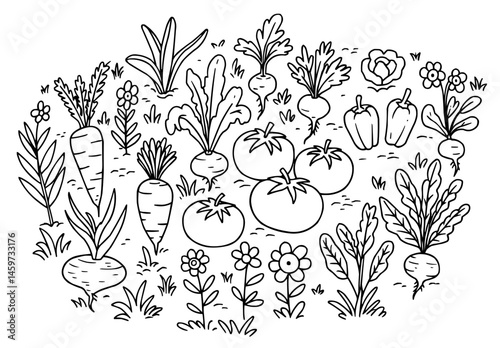 Jardin potager florissant - Illustration vectorielle noir et blanc