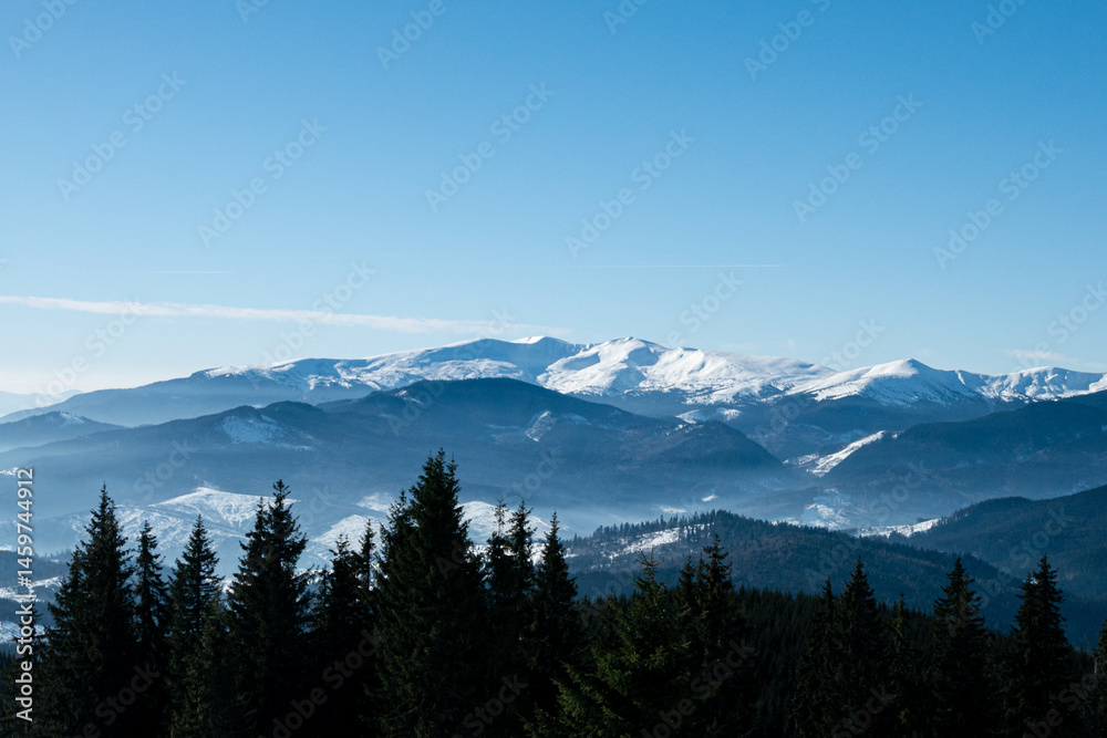 Fototapeta premium View on Carpathians Mountains Valley in Sunny Winter Day