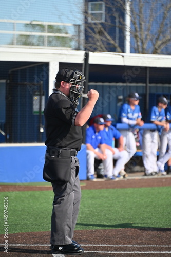 Photography Umpire