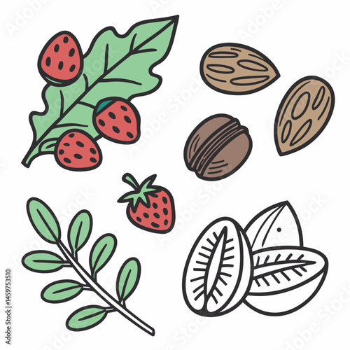 Modern Line Art Vector Icons of Superfoods, Including Berries, Nuts, Seeds, and Leafy Greens, Perfect for Wellness Apps, Dietary Supplement Labels, and Health-Conscious Marketing Campaigns.