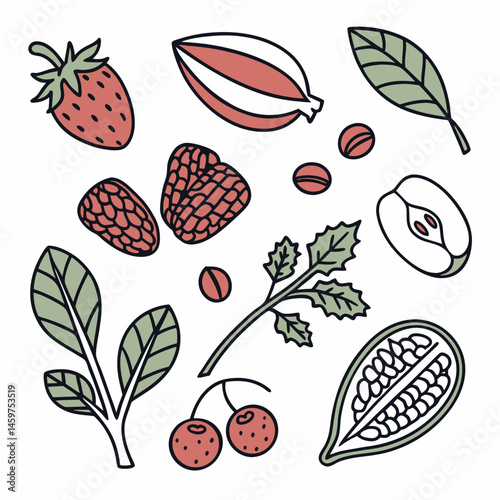 Modern Line Art Vector Icons of Superfoods, Including Berries, Nuts, Seeds, and Leafy Greens, Perfect for Wellness Apps, Dietary Supplement Labels, and Health-Conscious Marketing Campaigns.