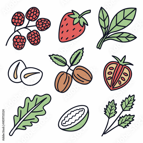 Modern Line Art Vector Icons of Superfoods, Including Berries, Nuts, Seeds, and Leafy Greens, Perfect for Wellness Apps, Dietary Supplement Labels, and Health-Conscious Marketing Campaigns.