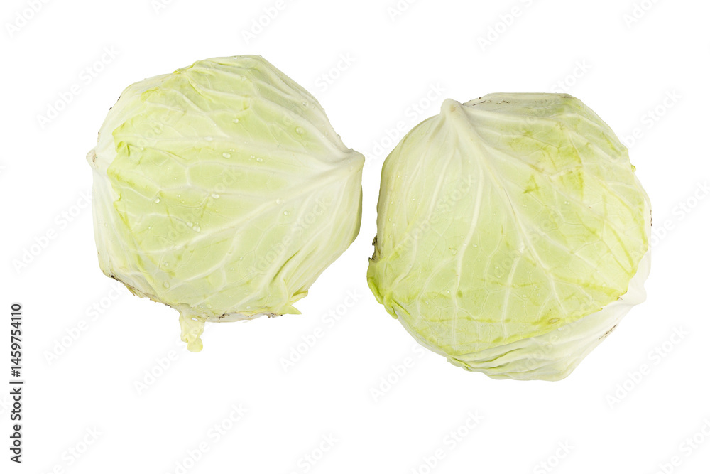 Fototapeta premium Cabbage isolated on white background.
