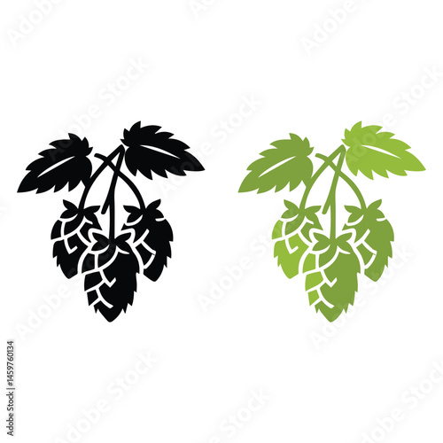 Hop fruit vector on a white background. Hop fruit icon