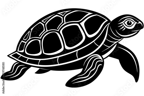 turtle vector illustration
