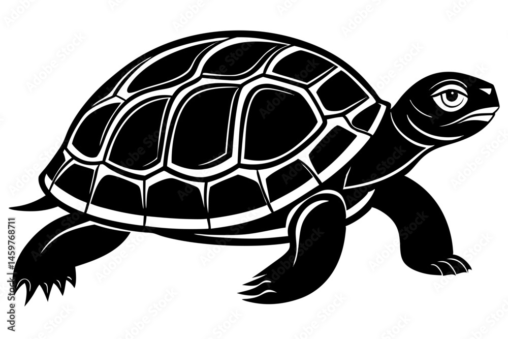turtle vector illustration turtle vector illustration