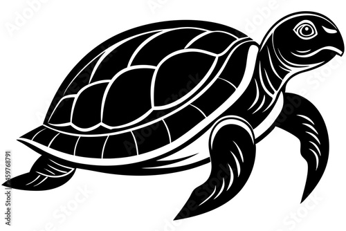 turtle vector illustration