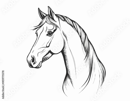 Sophisticated Line Art Illustration of a Horse Head, Suitable for Equestrian Clubs, Branding, and Wall Art.