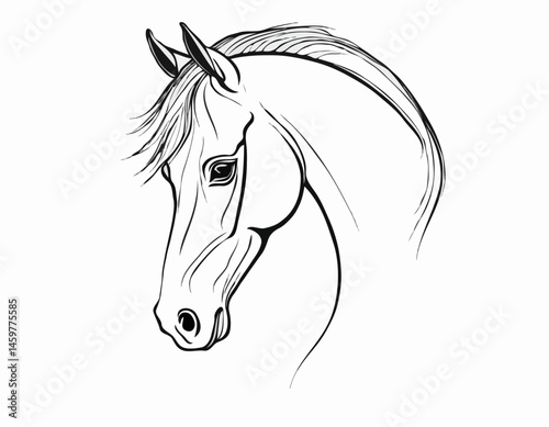 Sophisticated Line Art Illustration of a Horse Head, Suitable for Equestrian Clubs, Branding, and Wall Art.