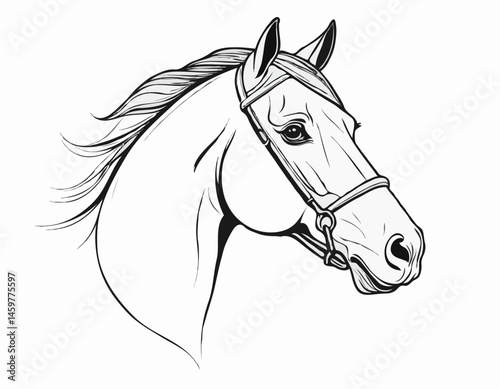 Sophisticated Line Art Illustration of a Horse Head, Suitable for Equestrian Clubs, Branding, and Wall Art.