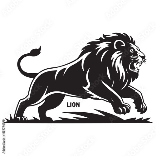A aggresive lion running pose Vector Black silhouettes. with white background