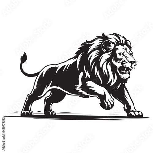 A aggresive lion running pose Vector Black silhouettes. with white background