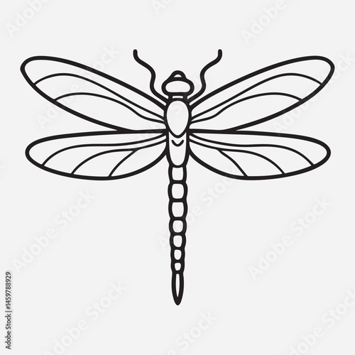 dragon fly line art icon