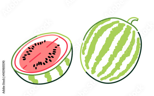Hand-drawn illustration of watermelon in minimal modern style. Summer fruit and healthy eating concept