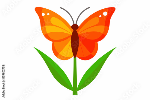 butterfly isolated on white