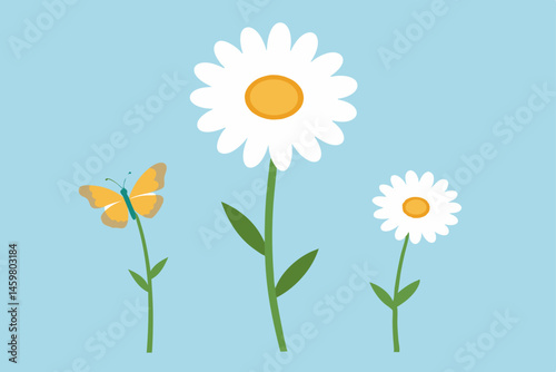 daisy flower vector illustration