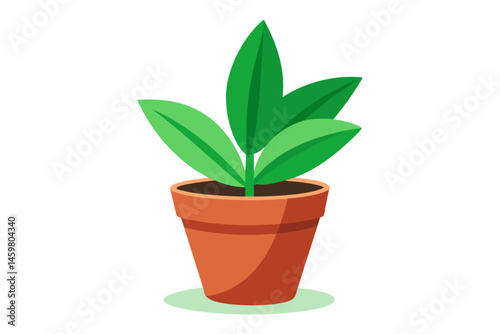 plant in a pot