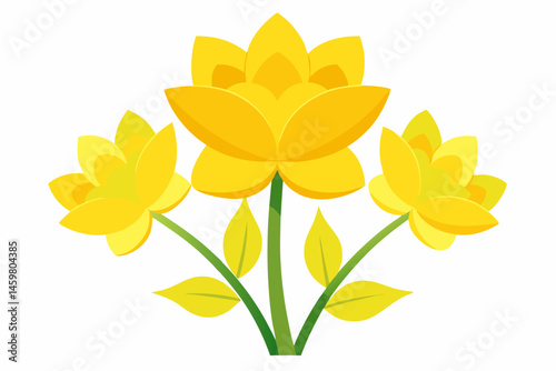 yellow flower isolated on white background