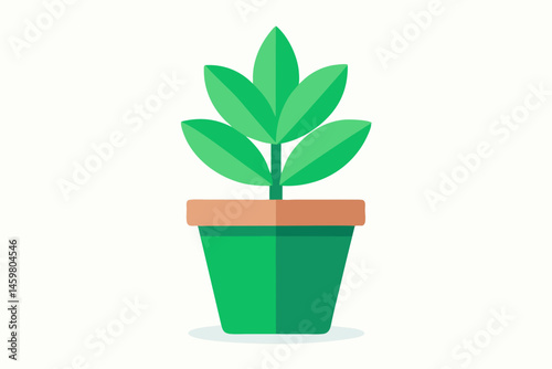 plant in a pot