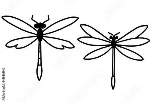 dragonfly vector illustration