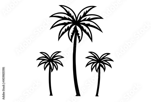 palm tree silhouette