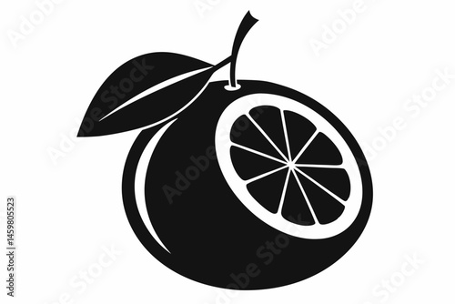 citrus fruit vector illustration