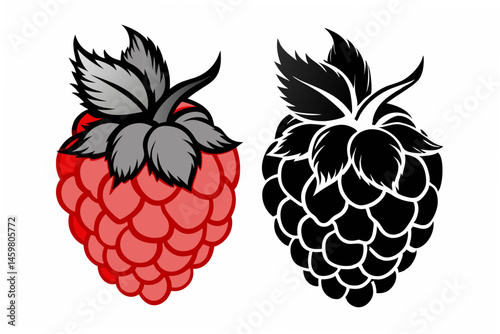 raspberry and blackberry